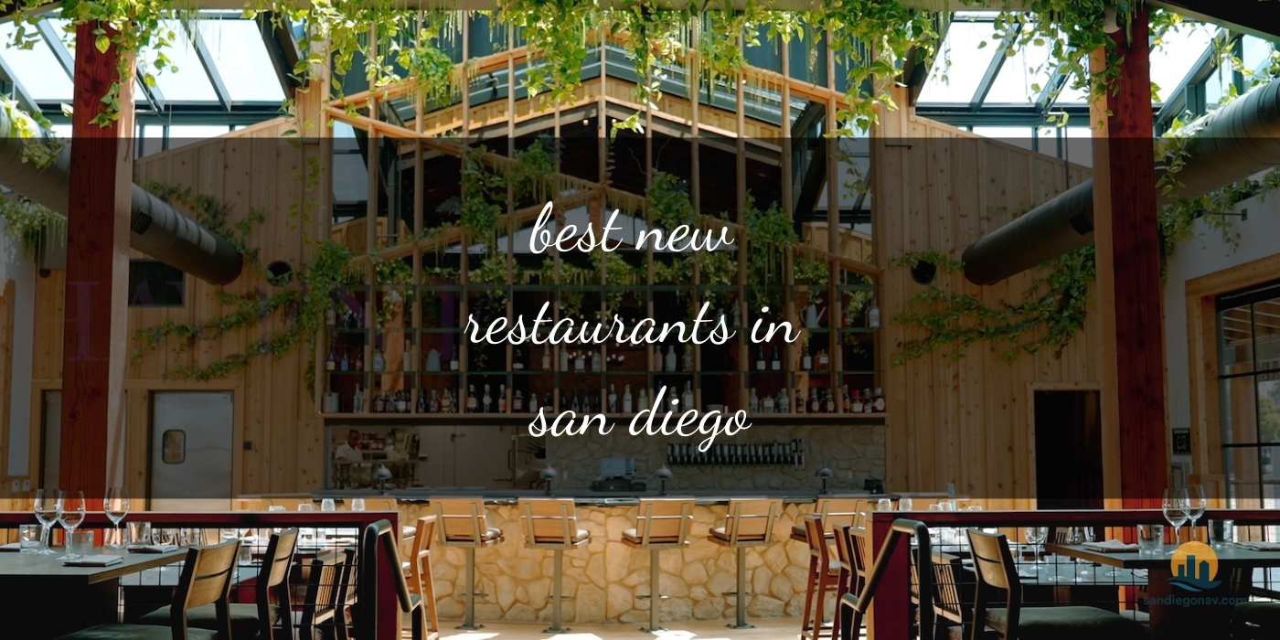 The Absolute Best New Restaurants in San Diego 2025: Must-Try Gems [Updated 2025]